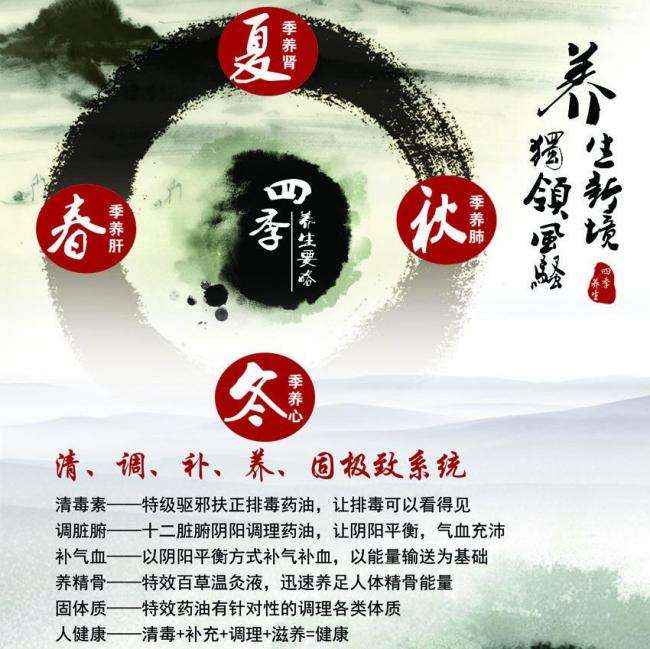 NyenrodeBusinessUniversiteit学士证书